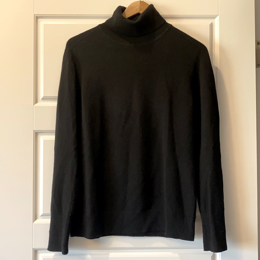 Everlane Cashmere Turtleneck